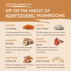 Mushroom Overnight Oats - 14 Meals