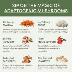 RYZE Ritual Set - Matcha + Coffee